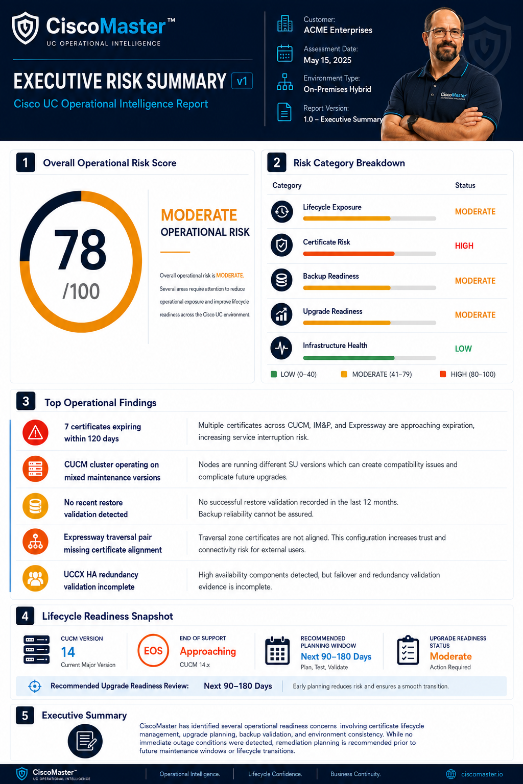 Executive Risk Summary sample